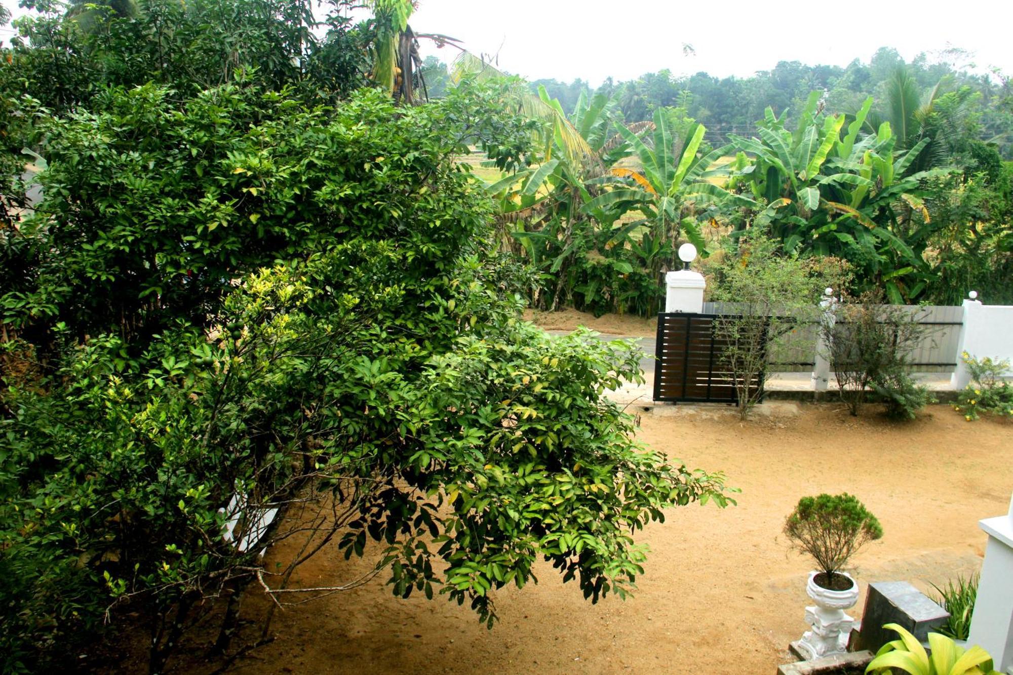 The Breeze Pinnawala Pinnawala  Exterior foto
